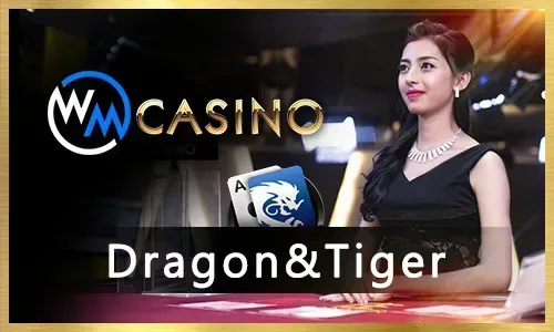 49jili Sic Bo Winning Guide